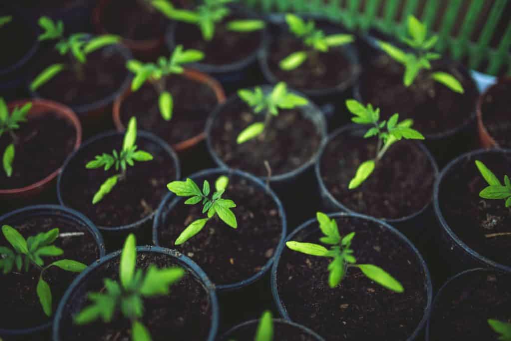 About Greenway Financial Advisors