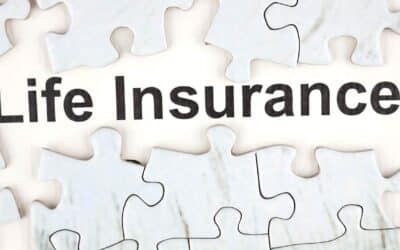 What Are The 3 Main Types Of Life Insurance?